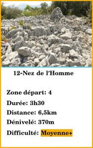 12-nez de lhomme