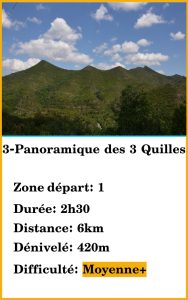 3-panoramique quilles